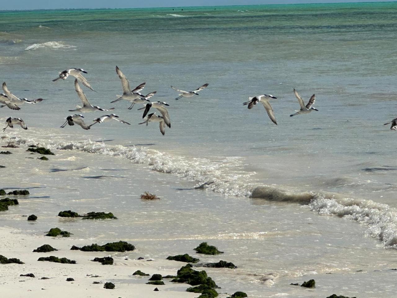 Villa Serenity, Tanzania Unforgettable Paje Eksteriør billede