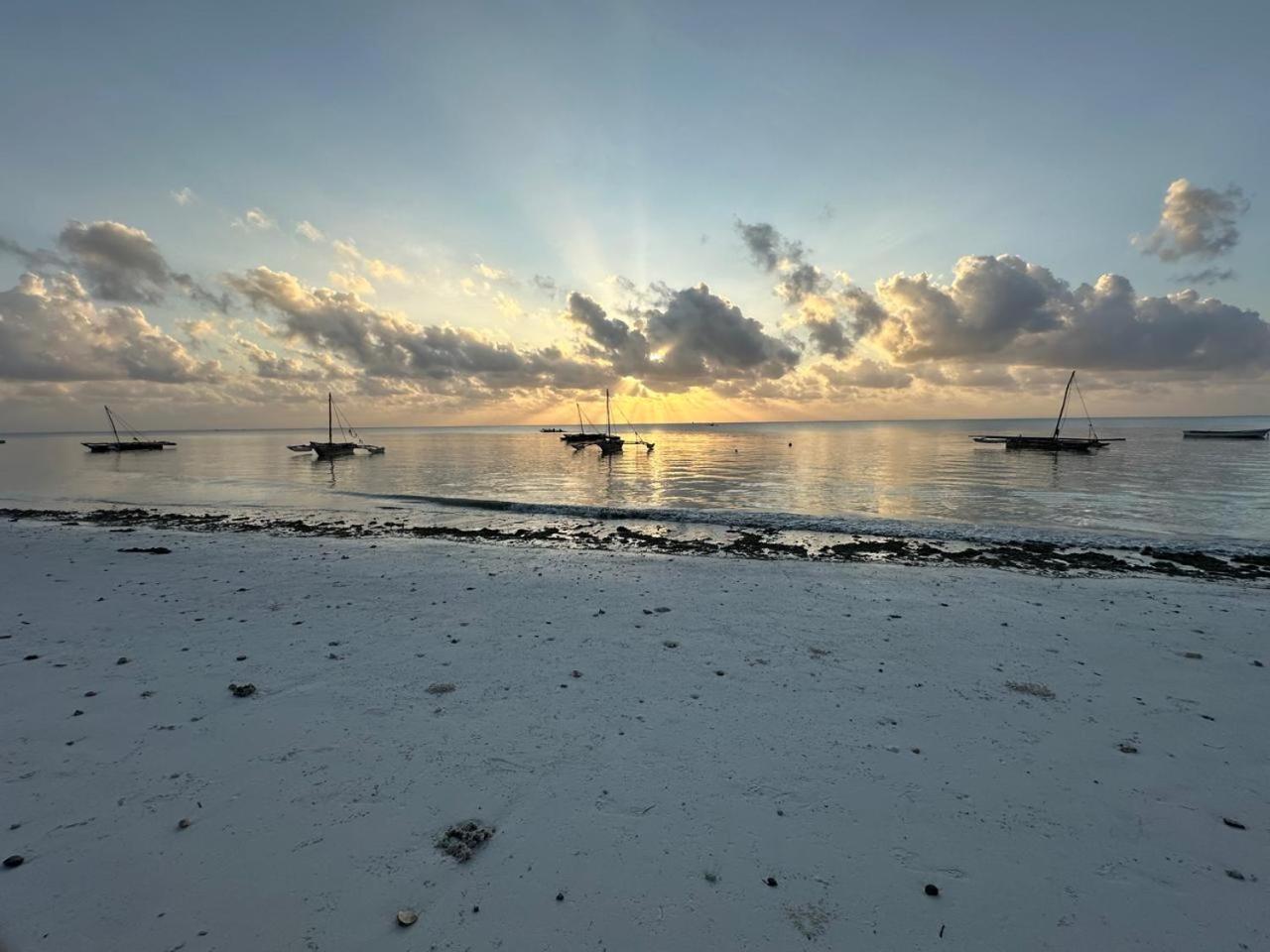 Villa Serenity, Tanzania Unforgettable Paje Eksteriør billede
